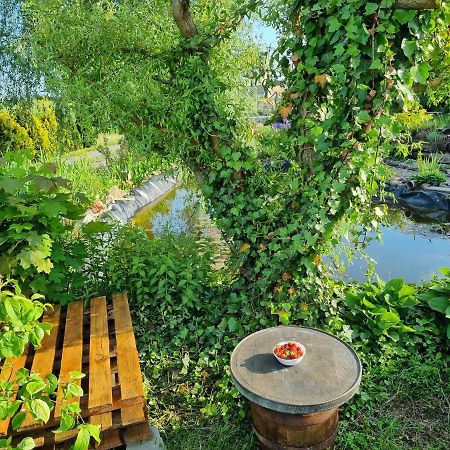 Apartament U Beti Opole Eksteriør bilde